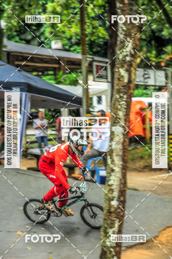 Buy your photos of the event1 Etapa Campeonato Brasileiro de Bicicross 2019 - CBBX on Fotop