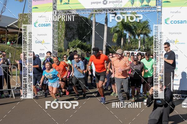 Buy your photos of the event8 CORRIDA E CAMINHADA PARQUE JEQUITIB on Fotop