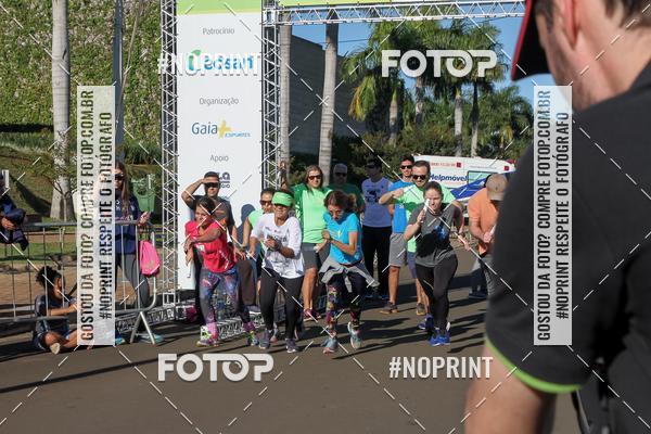 Buy your photos of the event8 CORRIDA E CAMINHADA PARQUE JEQUITIB on Fotop