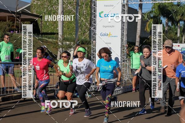 Buy your photos of the event8 CORRIDA E CAMINHADA PARQUE JEQUITIB on Fotop