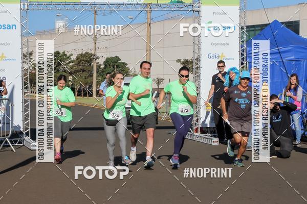 Buy your photos of the event8 CORRIDA E CAMINHADA PARQUE JEQUITIB on Fotop