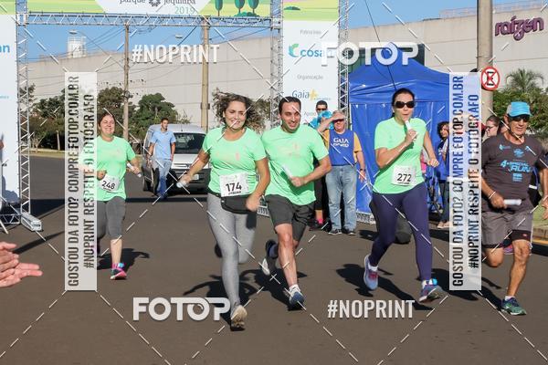 Buy your photos of the event8 CORRIDA E CAMINHADA PARQUE JEQUITIB on Fotop
