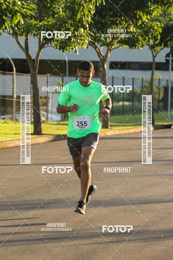 Buy your photos of the event8 CORRIDA E CAMINHADA PARQUE JEQUITIB on Fotop