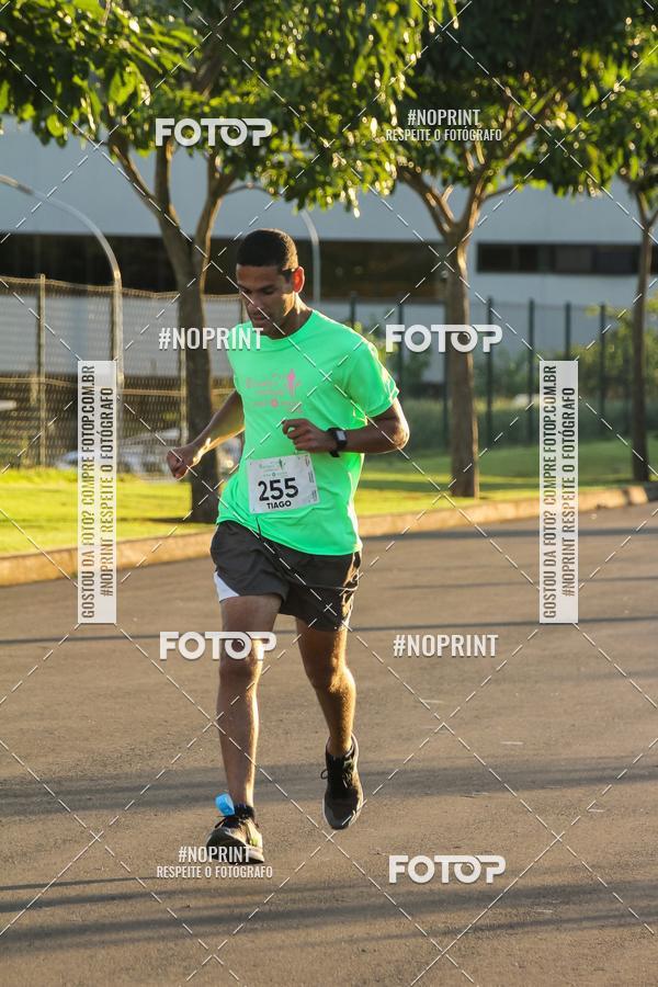 Buy your photos of the event8 CORRIDA E CAMINHADA PARQUE JEQUITIB on Fotop