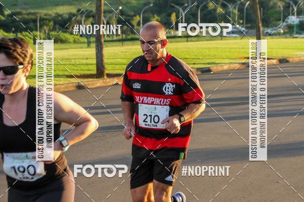 Buy your photos of the event8 CORRIDA E CAMINHADA PARQUE JEQUITIB on Fotop