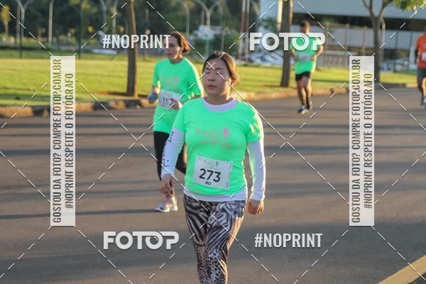 Buy your photos of the event8 CORRIDA E CAMINHADA PARQUE JEQUITIB on Fotop