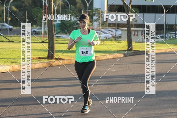 Buy your photos of the event8 CORRIDA E CAMINHADA PARQUE JEQUITIB on Fotop