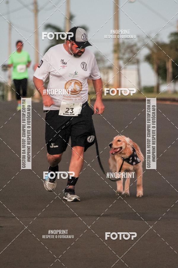 Buy your photos of the event8 CORRIDA E CAMINHADA PARQUE JEQUITIB on Fotop