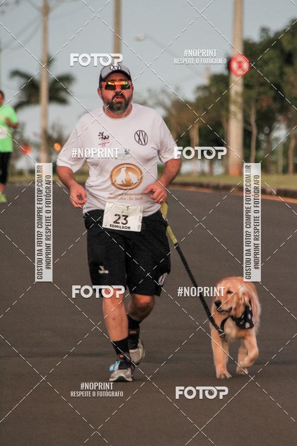 Buy your photos of the event8 CORRIDA E CAMINHADA PARQUE JEQUITIB on Fotop
