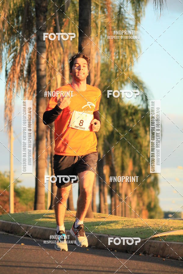 Buy your photos of the event8 CORRIDA E CAMINHADA PARQUE JEQUITIB on Fotop