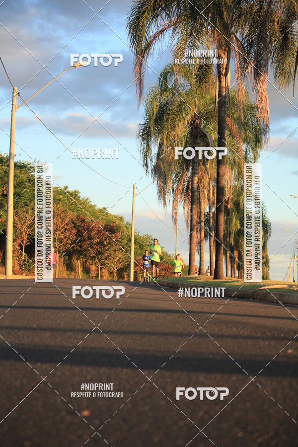Buy your photos of the event8 CORRIDA E CAMINHADA PARQUE JEQUITIB on Fotop