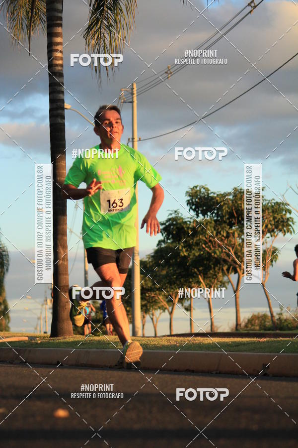 Buy your photos of the event8 CORRIDA E CAMINHADA PARQUE JEQUITIB on Fotop