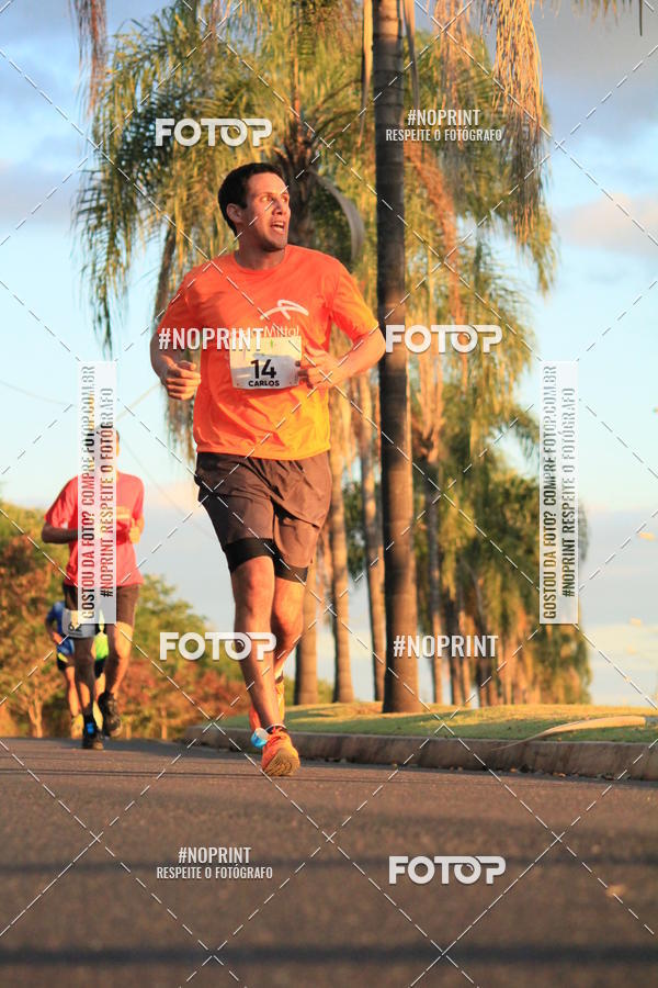 Buy your photos of the event8 CORRIDA E CAMINHADA PARQUE JEQUITIB on Fotop