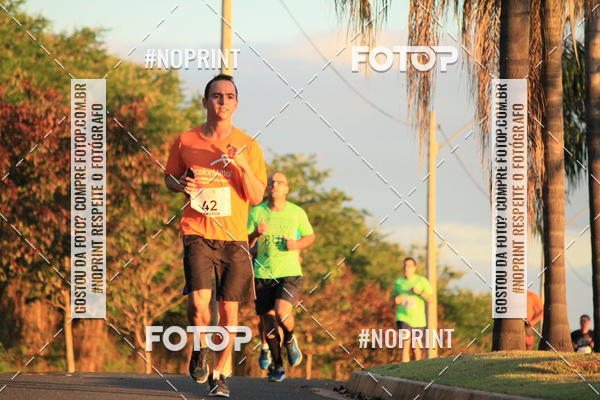 Buy your photos of the event8 CORRIDA E CAMINHADA PARQUE JEQUITIB on Fotop