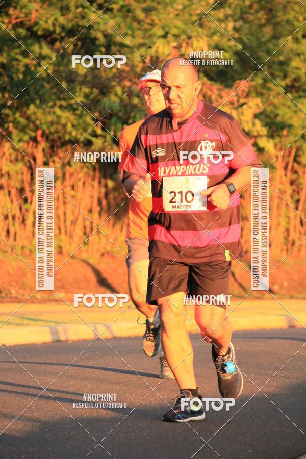 Buy your photos of the event8 CORRIDA E CAMINHADA PARQUE JEQUITIB on Fotop