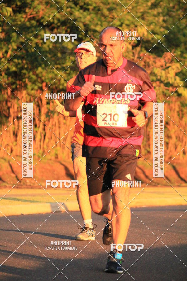 Buy your photos of the event8 CORRIDA E CAMINHADA PARQUE JEQUITIB on Fotop