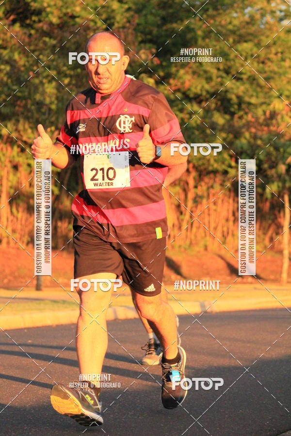 Buy your photos of the event8 CORRIDA E CAMINHADA PARQUE JEQUITIB on Fotop