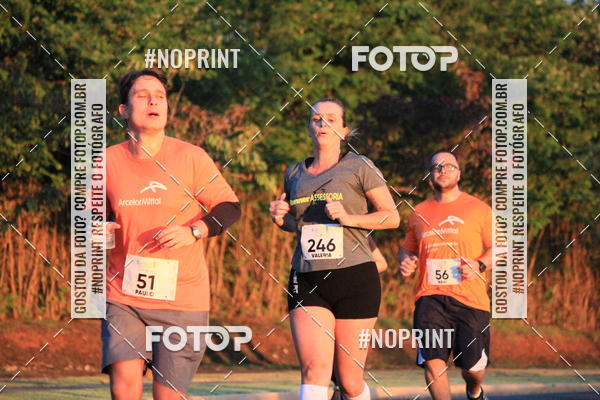 Buy your photos of the event8 CORRIDA E CAMINHADA PARQUE JEQUITIB on Fotop