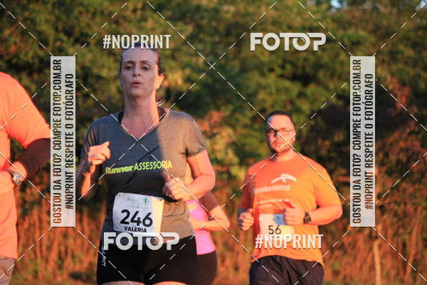Buy your photos of the event8 CORRIDA E CAMINHADA PARQUE JEQUITIB on Fotop
