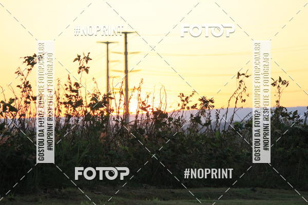 Buy your photos of the event8 CORRIDA E CAMINHADA PARQUE JEQUITIB on Fotop