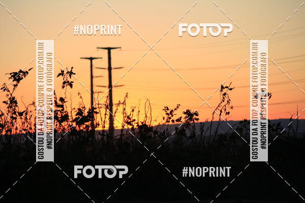 Buy your photos of the event8 CORRIDA E CAMINHADA PARQUE JEQUITIB on Fotop