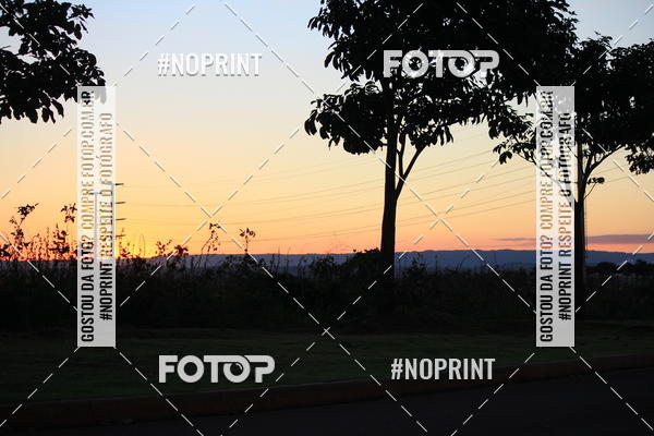 Buy your photos of the event8 CORRIDA E CAMINHADA PARQUE JEQUITIB on Fotop