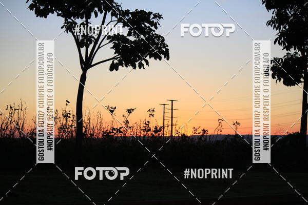Buy your photos of the event8 CORRIDA E CAMINHADA PARQUE JEQUITIB on Fotop
