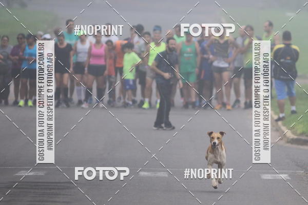 Buy your photos of the event33 CORRIDA RSTICA POSTO PILLON/ULBRA on Fotop