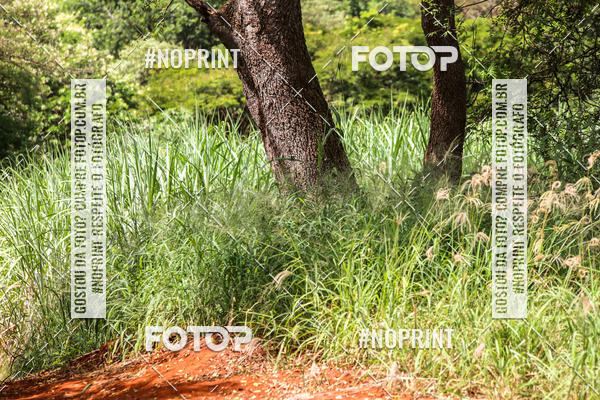 Buy your photos of the eventDESAFIO DO SERTO - ALIGA 3 Etapa on Fotop
