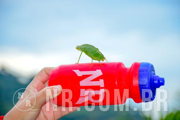 Buy your photos of the eventNR2 - Classico 13 a 15/04/19 on Fotop