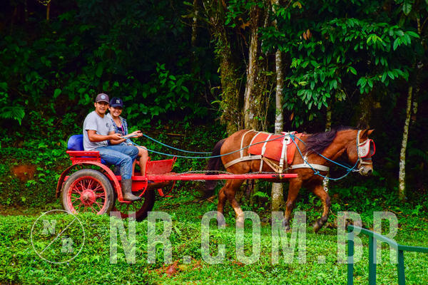 Buy your photos of the eventNR2 - Classico 13 a 15/04/19 on Fotop