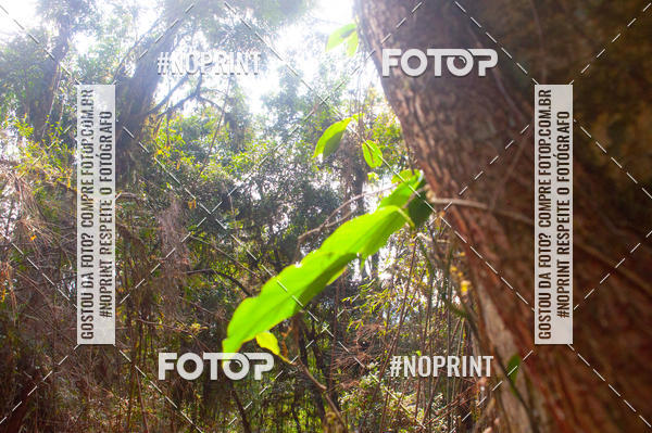 Buy your photos of the event2� Etapa - Campeonato Paranaense de Downhill - Desafio do Cristo on Fotop