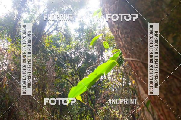 Buy your photos of the event2� Etapa - Campeonato Paranaense de Downhill - Desafio do Cristo on Fotop