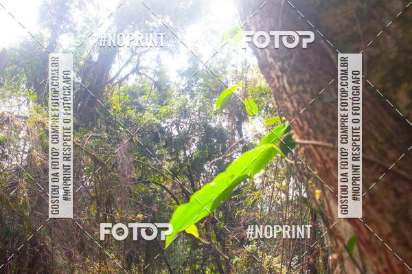 Buy your photos of the event2� Etapa - Campeonato Paranaense de Downhill - Desafio do Cristo on Fotop