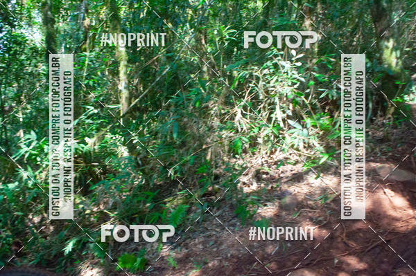 Buy your photos of the event2� Etapa - Campeonato Paranaense de Downhill - Desafio do Cristo on Fotop