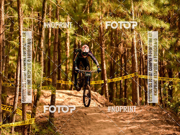 Buy your photos of the event2� Etapa - Campeonato Paranaense de Downhill - Desafio do Cristo on Fotop