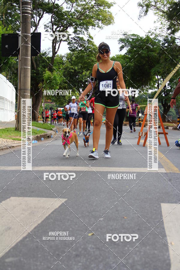 Buy your photos of the eventcorrida flip das equipes 2019 on Fotop