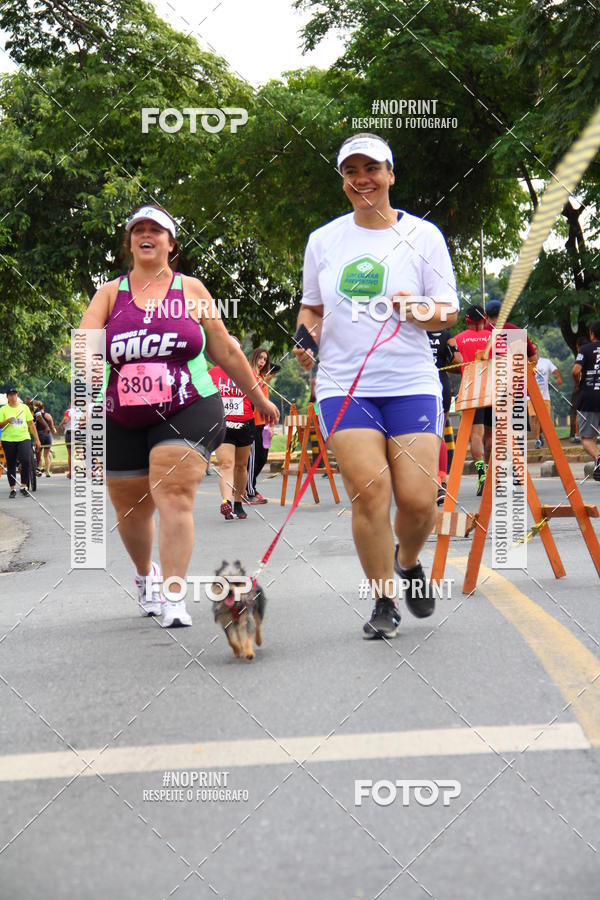Buy your photos of the eventcorrida flip das equipes 2019 on Fotop