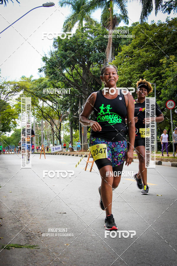 Buy your photos of the eventcorrida flip das equipes 2019 on Fotop