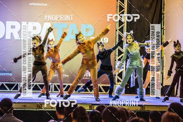 Buy your photos of the eventFloripa TAP 2019 on Fotop