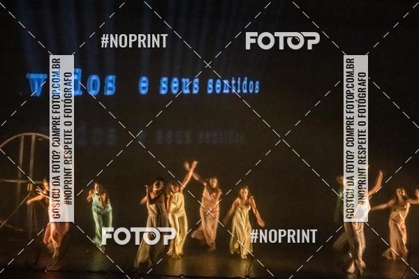 Buy your photos of the eventFloripa TAP 2019 on Fotop