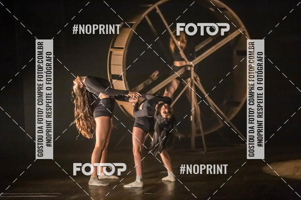 Buy your photos of the eventFloripa TAP 2019 on Fotop