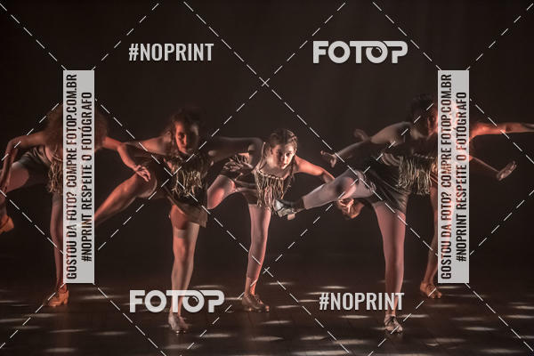 Buy your photos of the eventFloripa TAP 2019 on Fotop