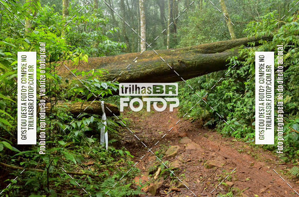 Buy your photos of the eventChallenge Gramado on Fotop