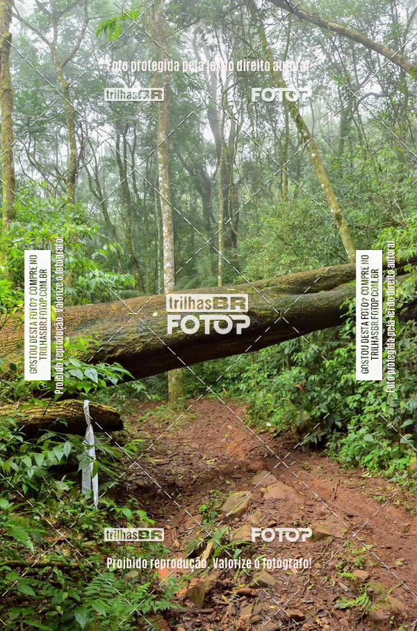 Buy your photos of the eventChallenge Gramado on Fotop