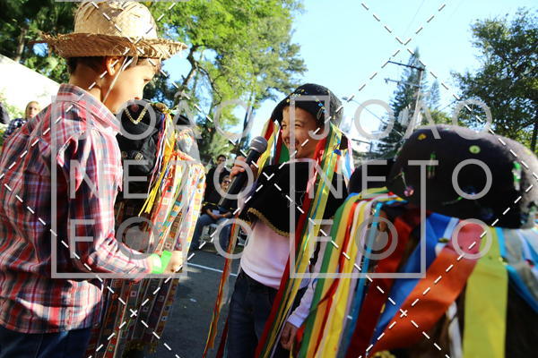 Buy your photos of the eventBeb� e Cia on Fotop