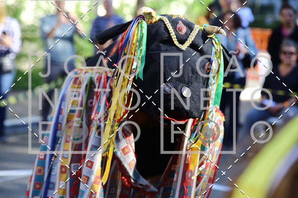 Buy your photos of the eventBeb� e Cia on Fotop