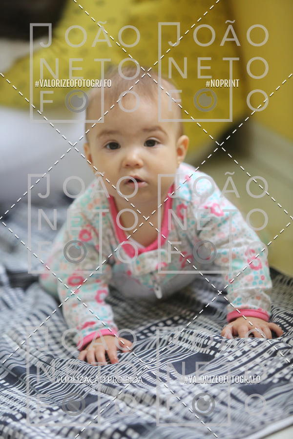 Buy your photos of the eventBeb� e Cia on Fotop