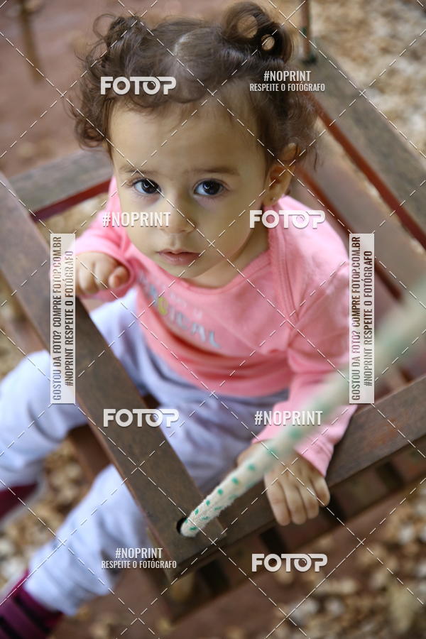 Buy your photos of the eventBeb� e Cia on Fotop