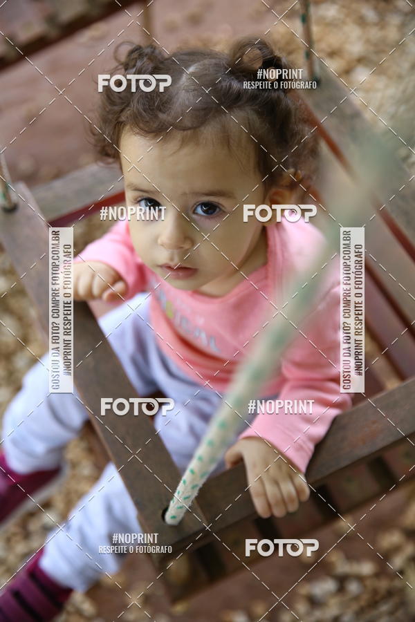 Buy your photos of the eventBeb� e Cia on Fotop